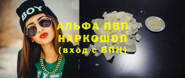 PSILOCYBIN Ладушкин