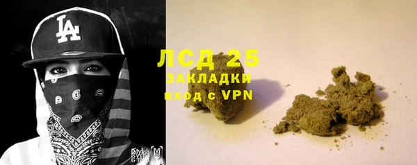 PSILOCYBIN Ладушкин