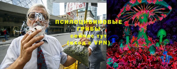 ПСИЛОЦИБИНОВЫЕ ГРИБЫ Лагань