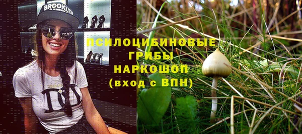 ПСИЛОЦИБИНОВЫЕ ГРИБЫ Лагань