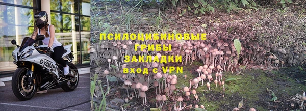 ECSTASY Лабытнанги